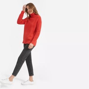Everlane Italian Soft Wool Rib Turtleneck